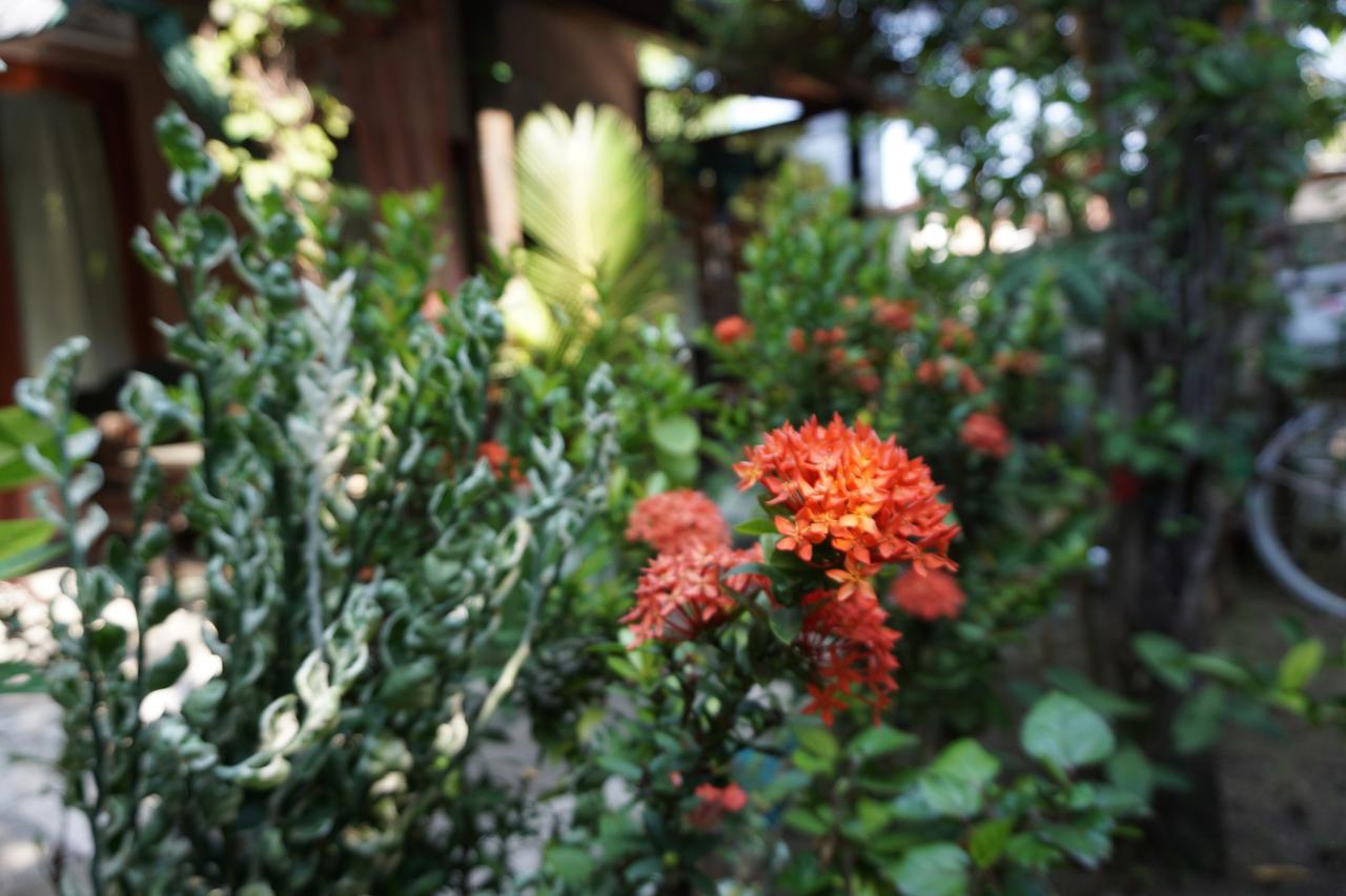 Salon De Nomad Gili T. Bed and Breakfast Τζίλι Τραγουανγκάν Εξωτερικό φωτογραφία