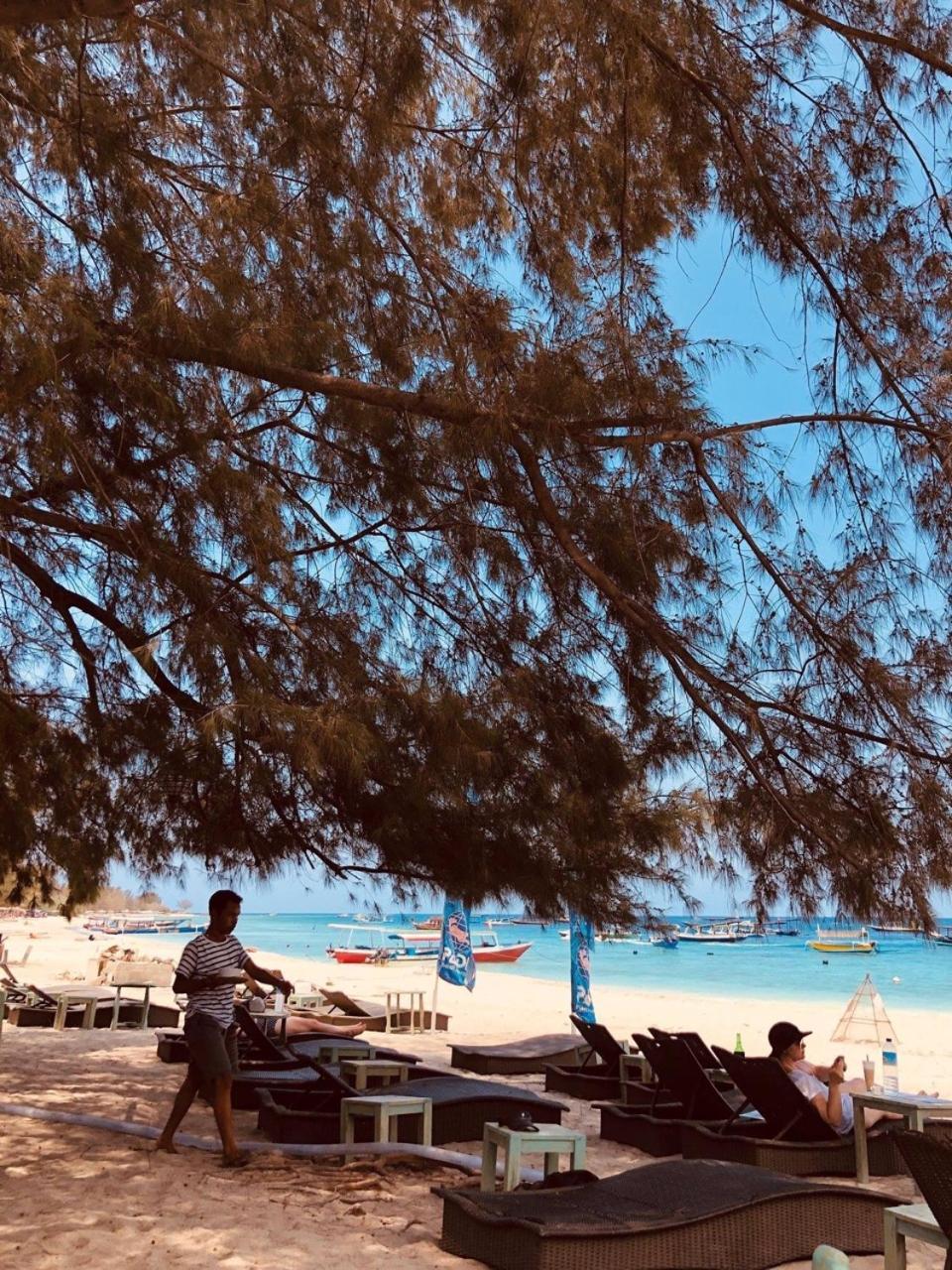 Salon De Nomad Gili T. Bed and Breakfast Τζίλι Τραγουανγκάν Εξωτερικό φωτογραφία